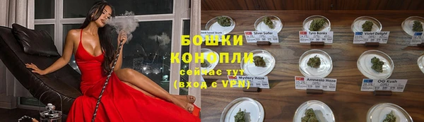 ECSTASY Армянск