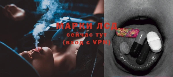 СК Аркадак