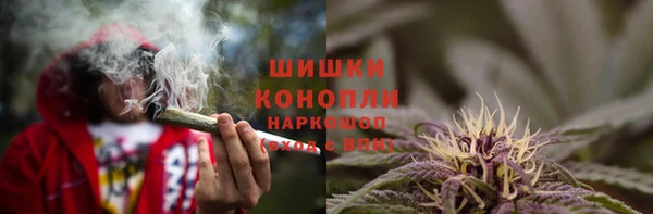 СК Аркадак