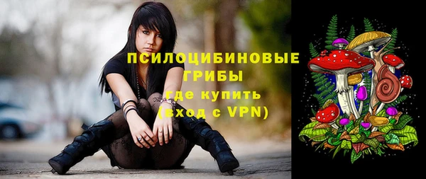 прущая мука Арсеньев