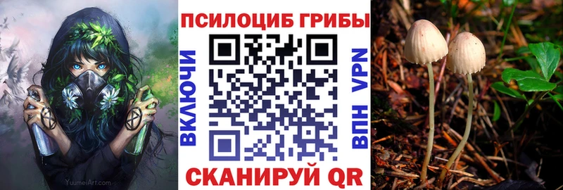 Галлюциногенные грибы мицелий  Мирный 